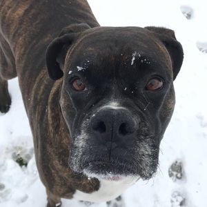 Meet your Posher, Lindsey